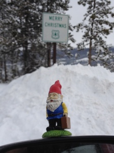 Merry Christmas  from Danny in the Arapaho National Forest!